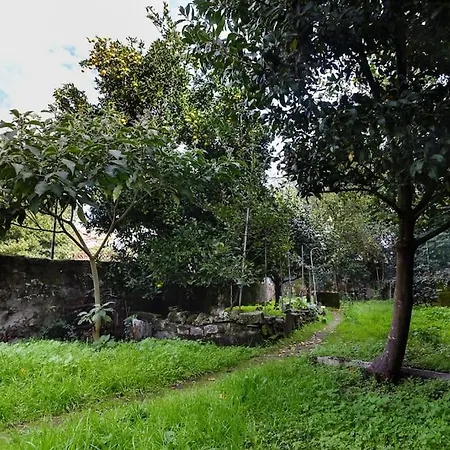 Aida's Haven Penthouse&parking *