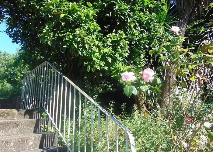 Daire Aida's Haven Penthouse&parking Porto