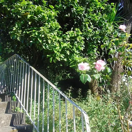 Apartament Aida's Haven Penthouse&parking Porto