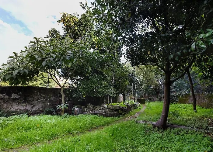 Aida's Haven Penthouse&parking *