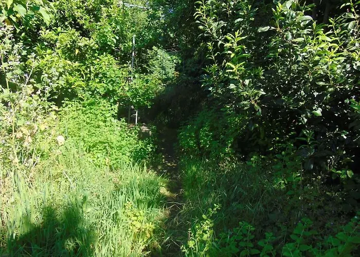 Lägenhet Aida's Haven Penthouse&parking