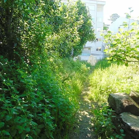 Aida's Haven Penthouse&parking