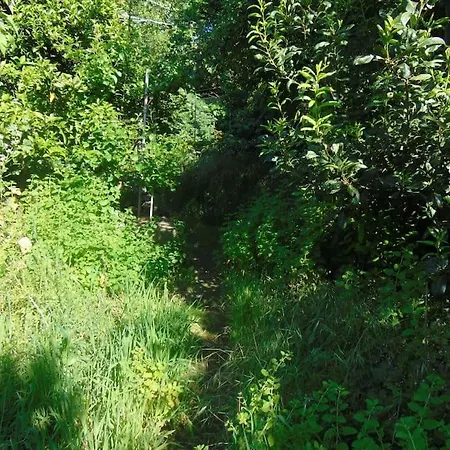 Apartamento Aida's Haven Penthouse&parking